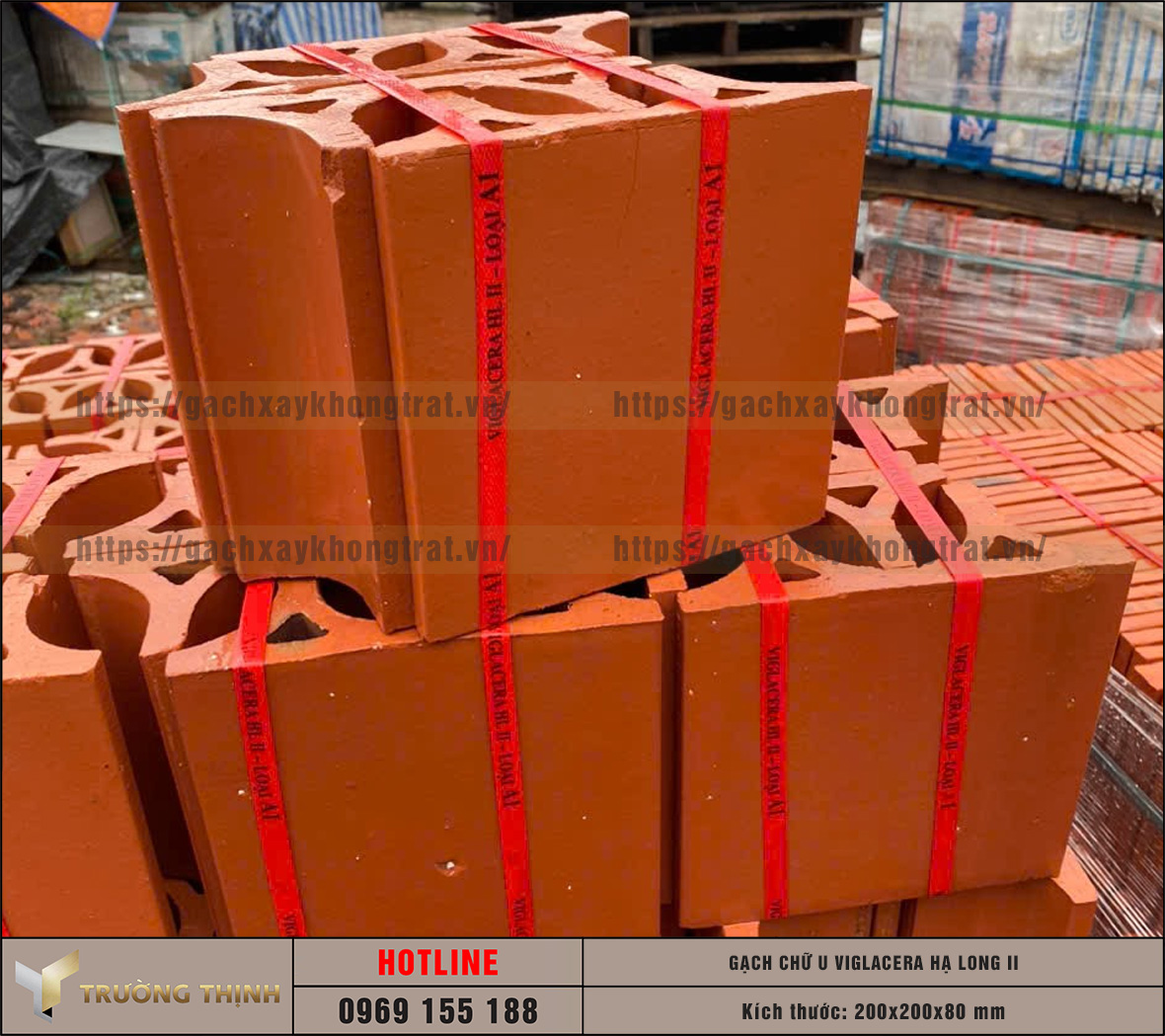 Báo giá gạch chống nóng chữ U Viglacera Hạ Long II mới nhất 2026