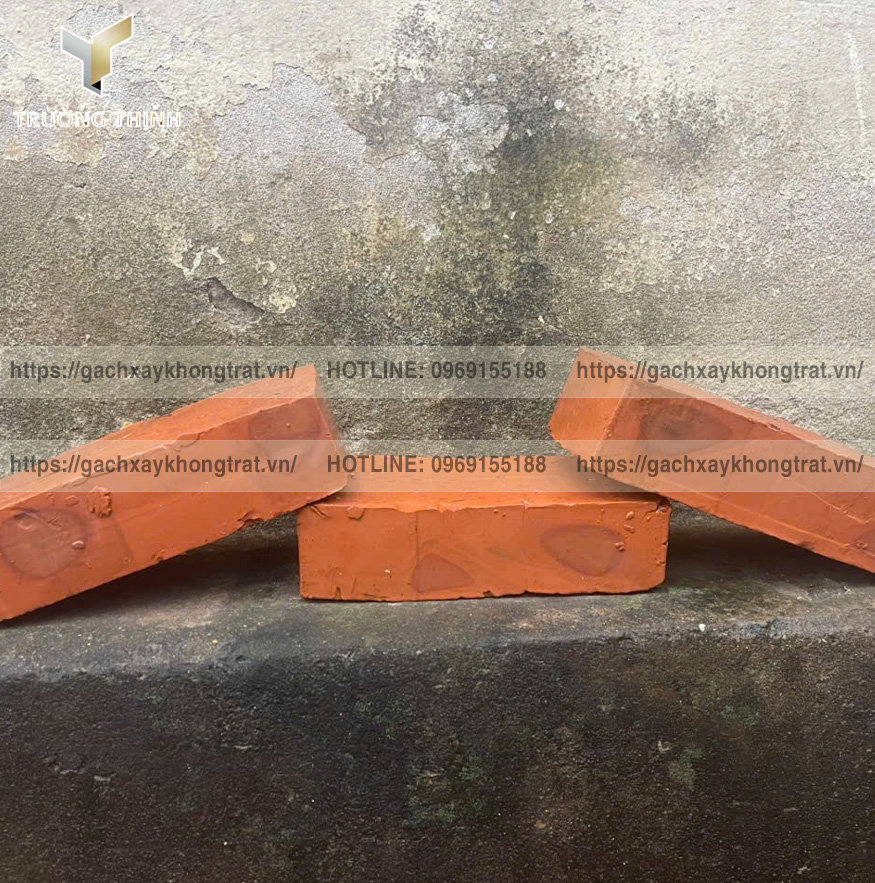 Gạch đặc 210x95x55 Từ Sơn – Gạch xây tường không trát đẹp mà rẻ