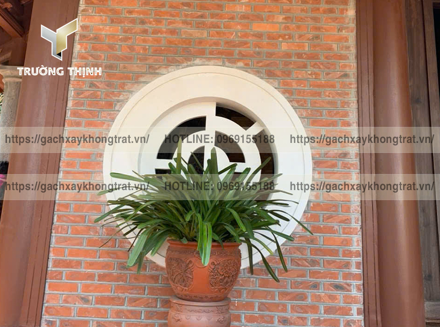 Gạch đặc 60 xây không trát Viglacera Từ Sơn - Giải pháp đột phá cho mọi công trình