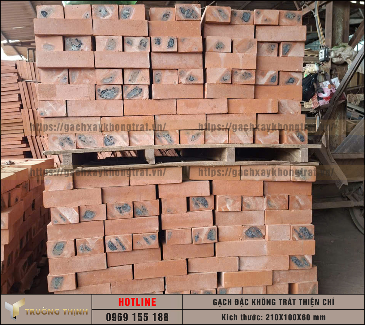 Gạch đặc không trát Thiện Chí 210x100x60: Đột phá công nghệ ép bán khô trong xây dựng