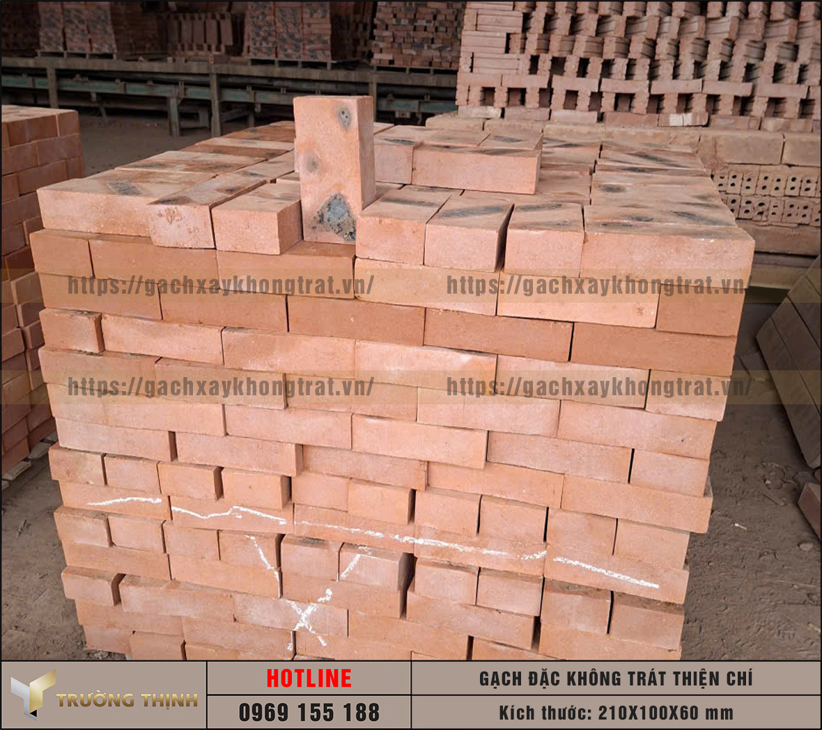 Gạch đặc không trát Thiện Chí 210x100x60: Đột phá công nghệ ép bán khô trong xây dựng