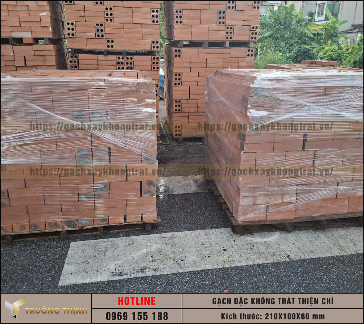 Gạch đặc không trát Thiện Chí 210x100x60: Đột phá công nghệ ép bán khô trong xây dựng