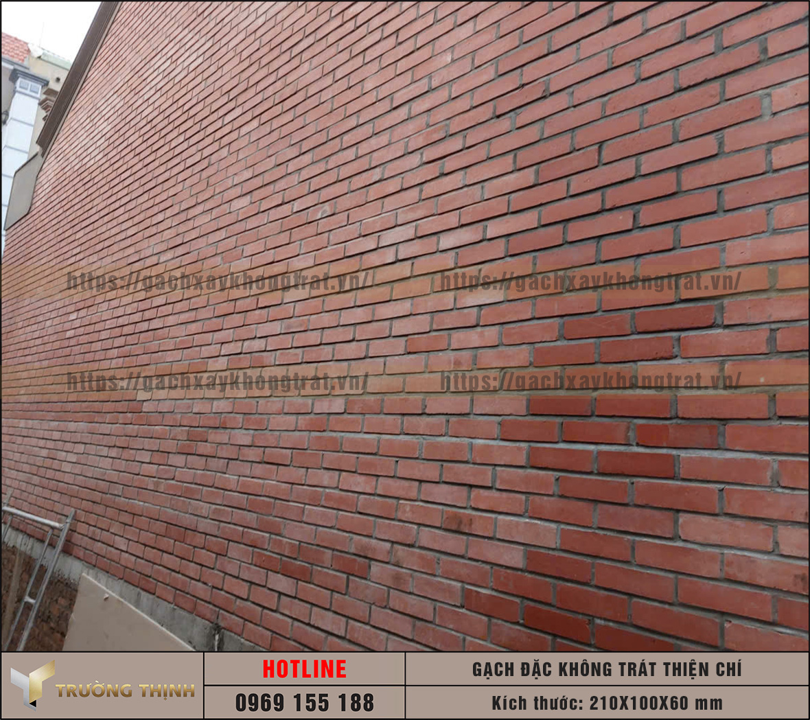 Gạch đặc không trát Thiện Chí 210x100x60: Đột phá công nghệ ép bán khô trong xây dựng