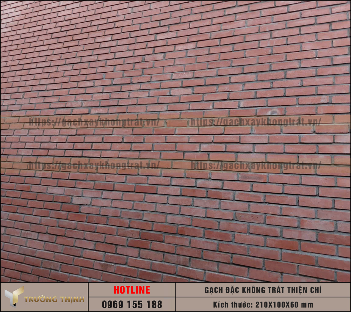 Gạch đặc không trát Thiện Chí 210x100x60: Đột phá công nghệ ép bán khô trong xây dựng