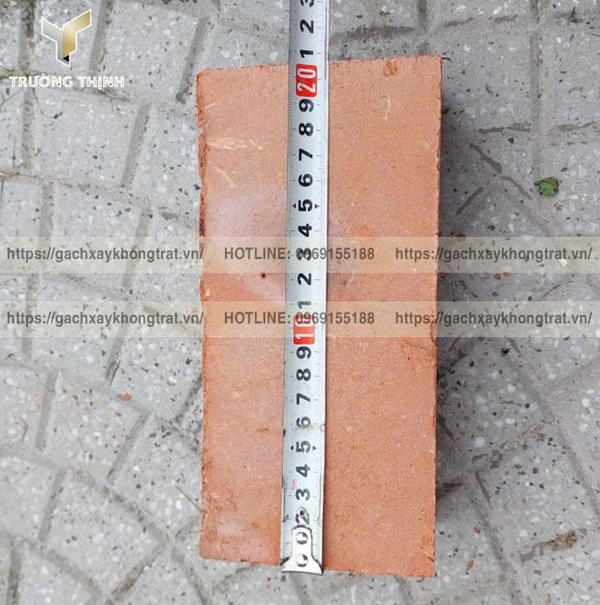 Báo Giá Gạch Đặc Xây Không Trát Thiện Chí 200x100x60 Mới Nhất 2026 | Trường Thịnh Group