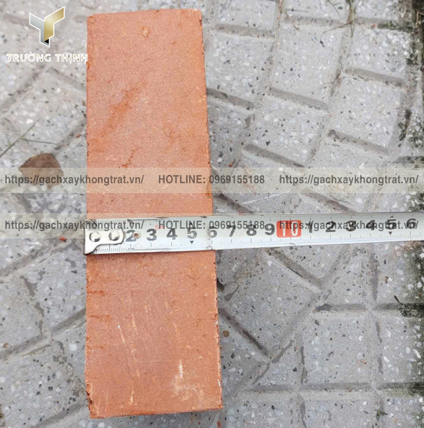 Báo Giá Gạch Đặc Xây Không Trát Thiện Chí 200x100x60 Mới Nhất 2026 | Trường Thịnh Group