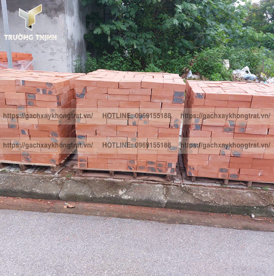 Báo Giá Gạch Đặc Xây Không Trát Thiện Chí 200x100x60 Mới Nhất 2026 | Trường Thịnh Group