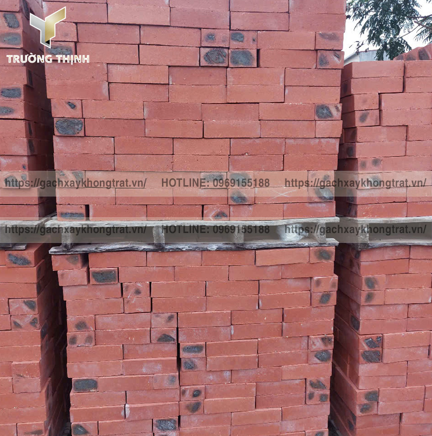 Báo Giá Gạch Đặc Xây Không Trát Thiện Chí 200x100x60 Mới Nhất 2026 | Trường Thịnh Group