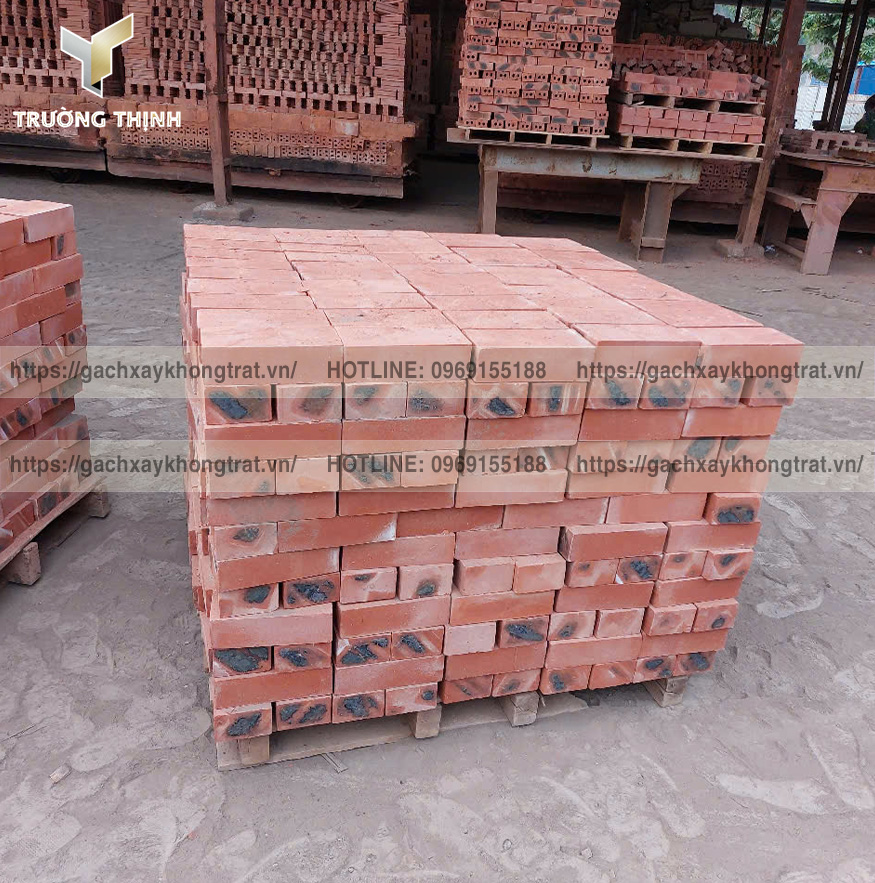 Báo Giá Gạch Đặc Xây Không Trát Thiện Chí 200x100x60 Mới Nhất 2026 | Trường Thịnh Group