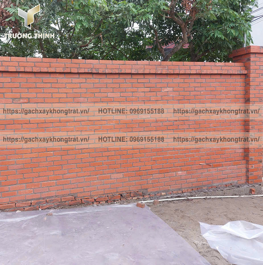 Báo Giá Gạch Đặc Xây Không Trát Thiện Chí 200x100x60 Mới Nhất 2026 | Trường Thịnh Group