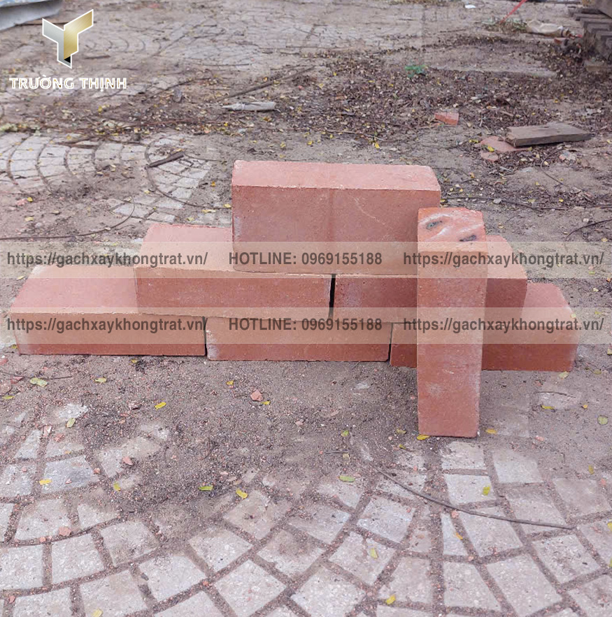 Báo Giá Gạch Đặc Xây Không Trát Thiện Chí 200x100x60 Mới Nhất 2026 | Trường Thịnh Group