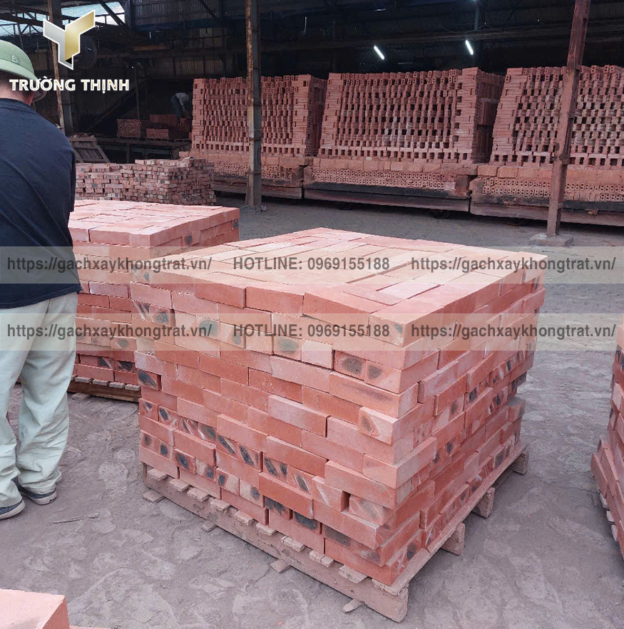   Báo Giá Gạch Đặc Xây Không Trát Thiện Chí 200x100x60 Mới Nhất 2026 | Trường Thịnh Group