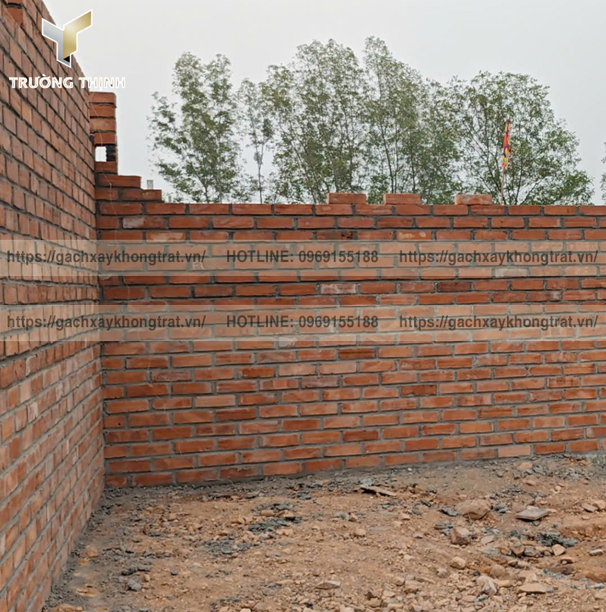 Gạch đặc xây không trát Viglacera Từ Sơn: Ứng dụng công trình cổ - Trường Thịnh Group