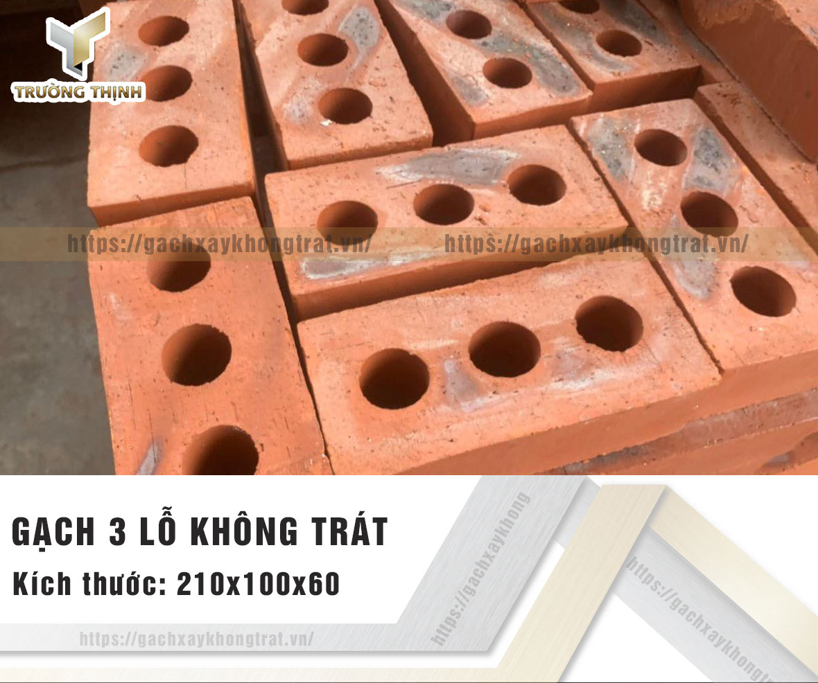 Gạch 3 lỗ xây không trát Viglacera Từ Sơn 210x100x60
