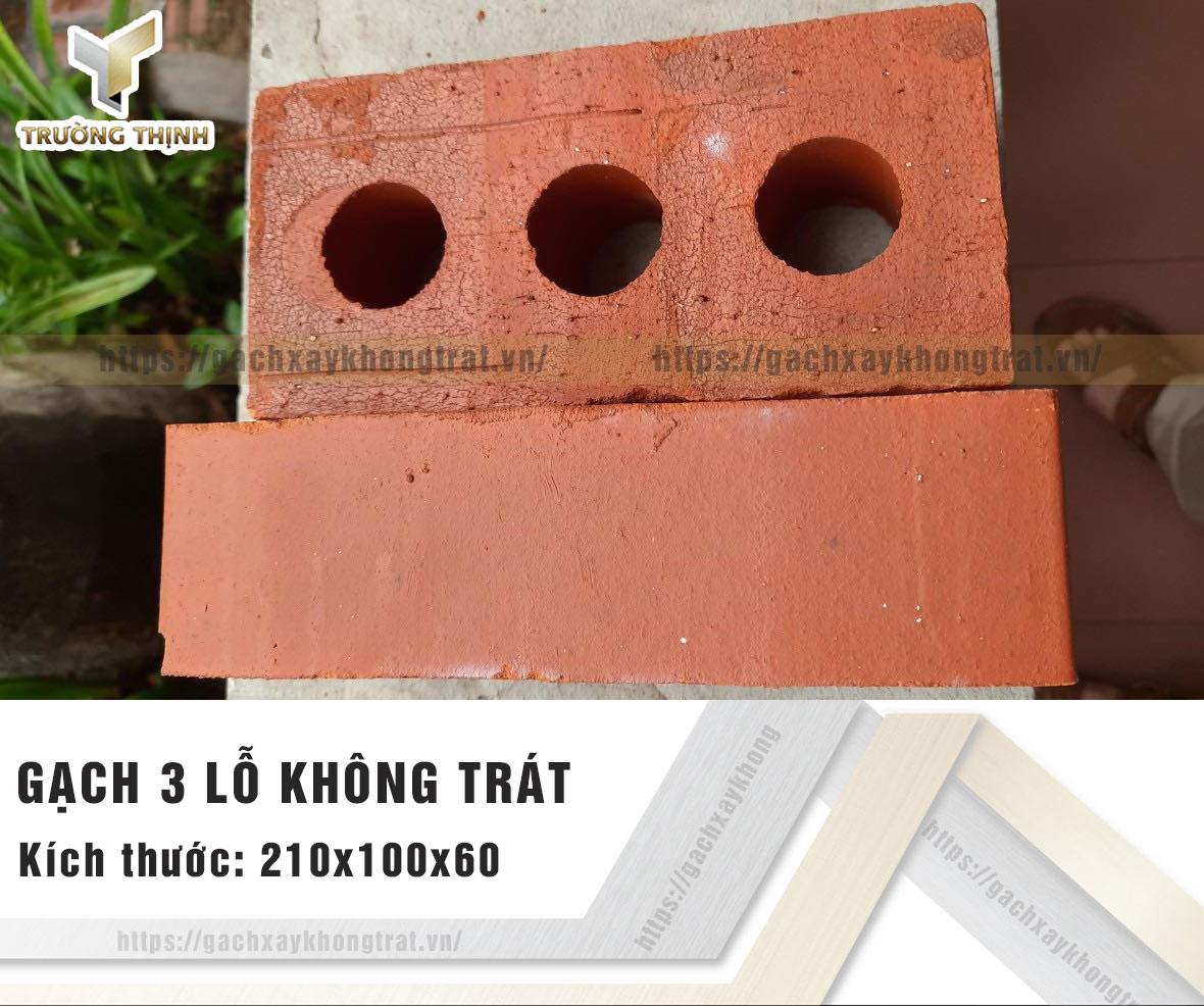 Gạch 3 lỗ xây không trát Viglacera Từ Sơn 210x100x60