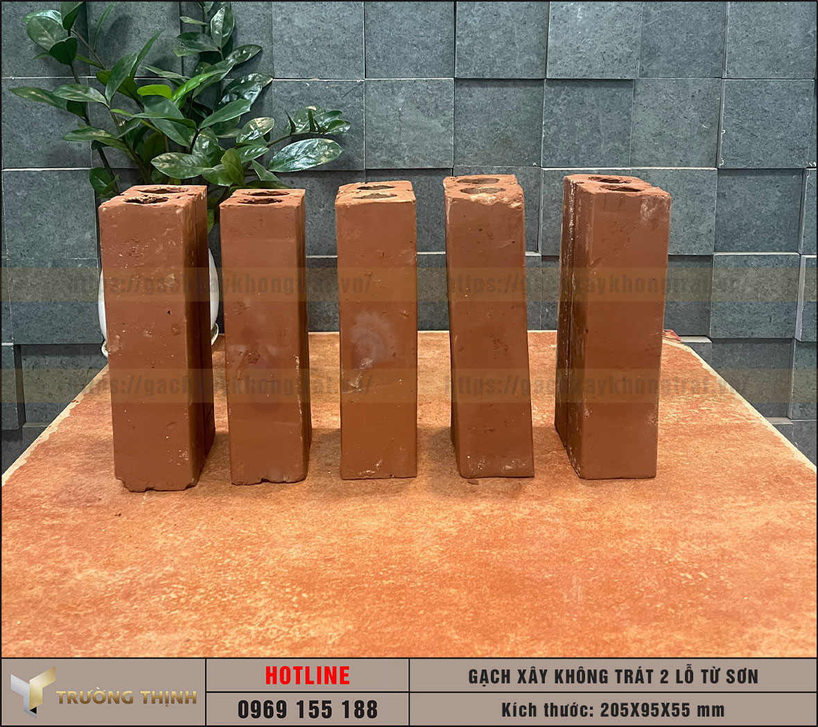 Hình ảnh gạch 2 lỗ xây không trát Viglacera Từ Sơn