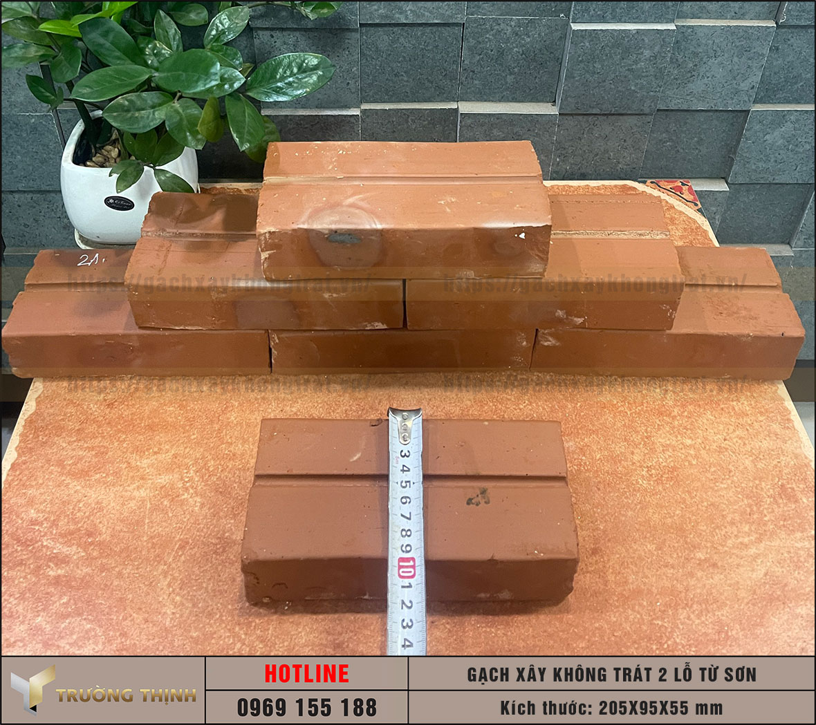 Hình ảnh gạch 2 lỗ xây không trát Viglacera Từ Sơn