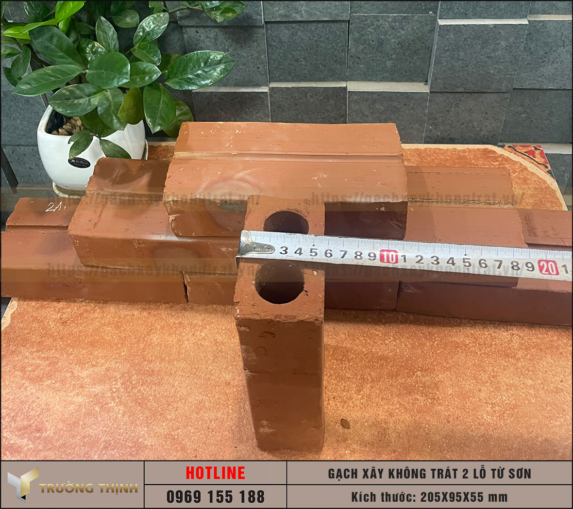 Hình ảnh gạch 2 lỗ xây không trát Viglacera Từ Sơn