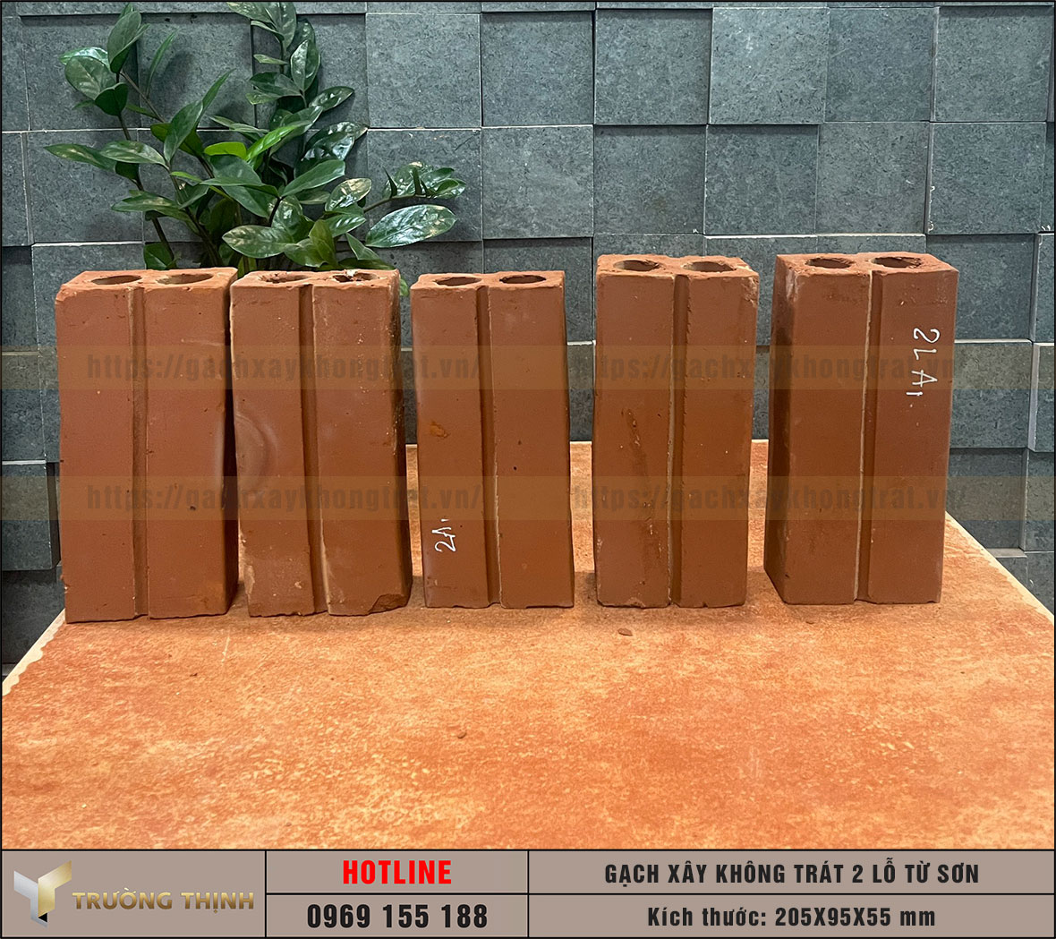 Hình ảnh gạch 2 lỗ xây không trát Viglacera Từ Sơn