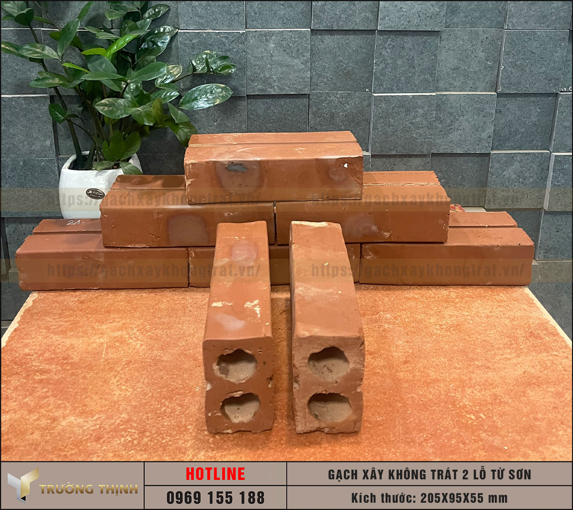 Hình ảnh gạch 2 lỗ xây không trát Viglacera Từ Sơn