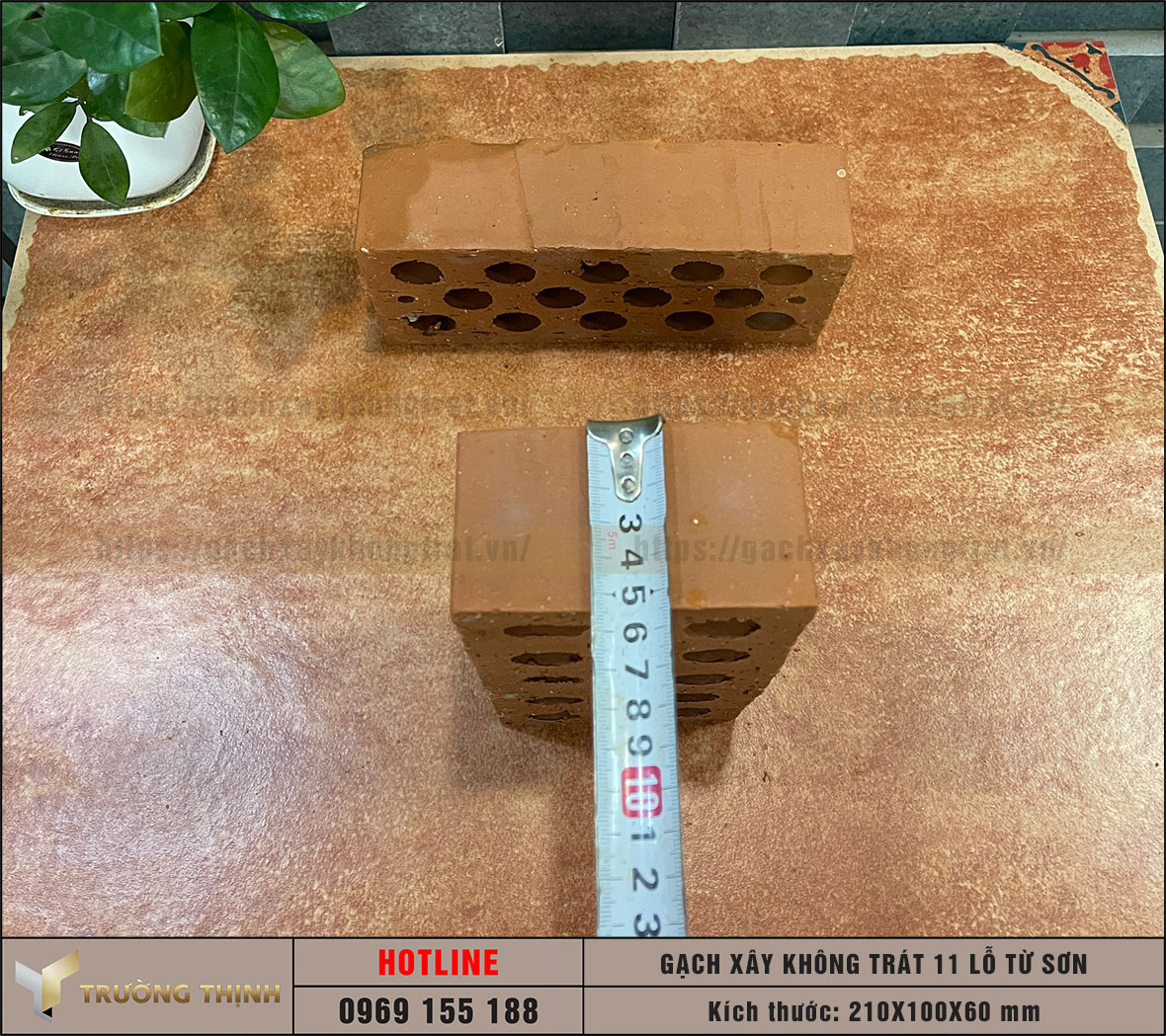 Gạch 11 lỗ xây không trát Viglacera Từ Sơn