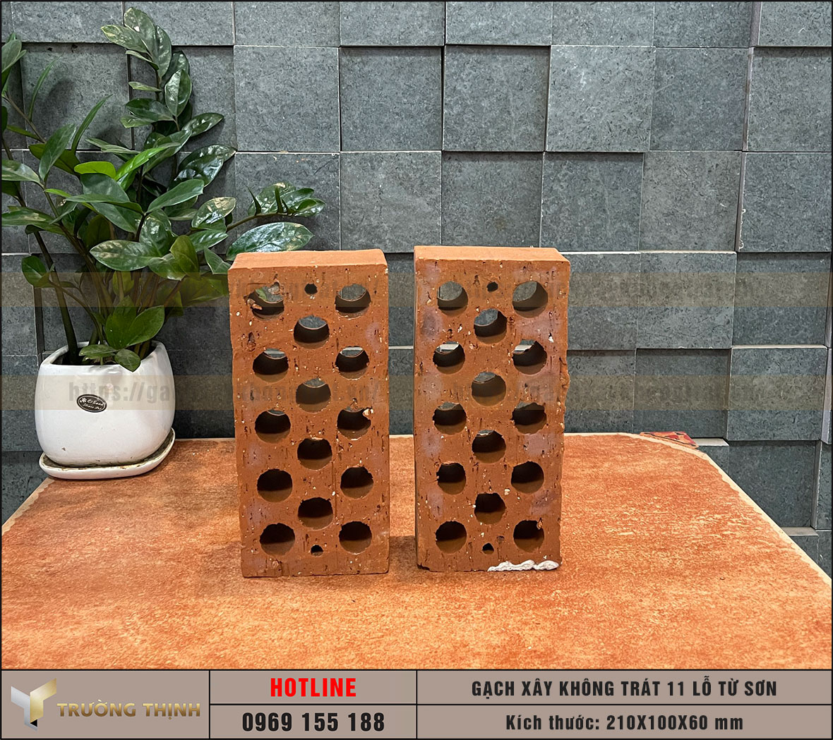 Gạch 11 lỗ xây không trát Viglacera Từ Sơn