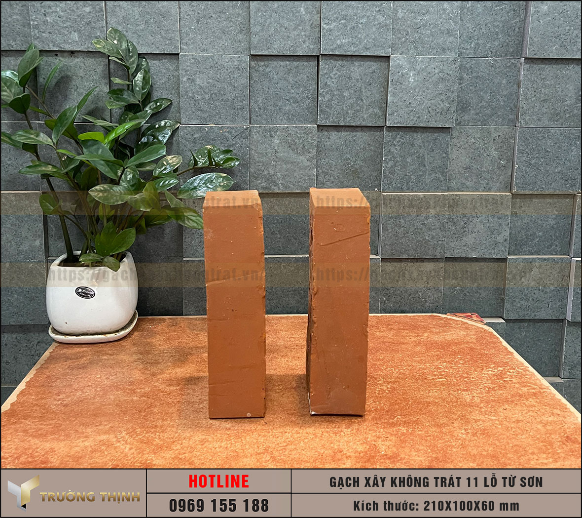 Gạch 11 lỗ xây không trát Viglacera Từ Sơn