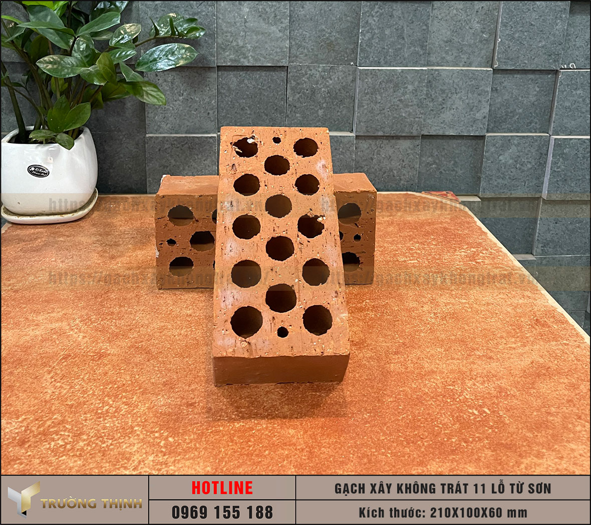 Gạch 11 lỗ xây không trát Viglacera Từ Sơn
