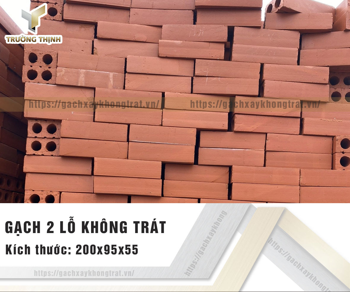 Gạch 2 lỗ xây không trát Viglacera Xuân Hòa 200x95x55