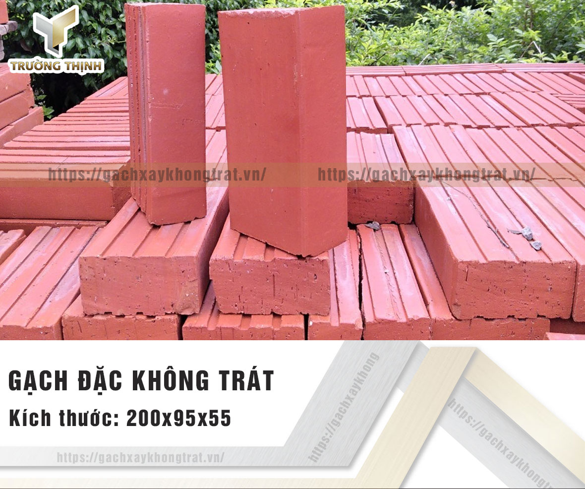 Gạch đặc xây không trát Viglacera Xuân Hòa