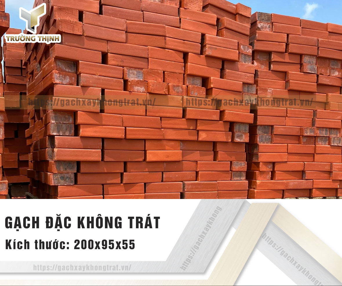 Gạch đặc xây không trát Viglacera Xuân Hòa