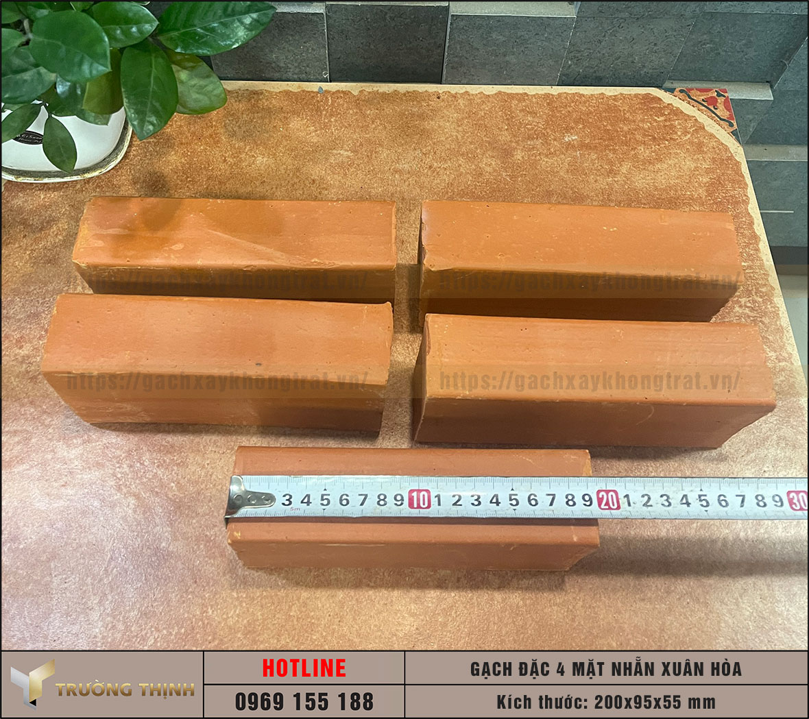 Hình ảnh gạch đặc xây không trát Xuân Hòa Hà Nội