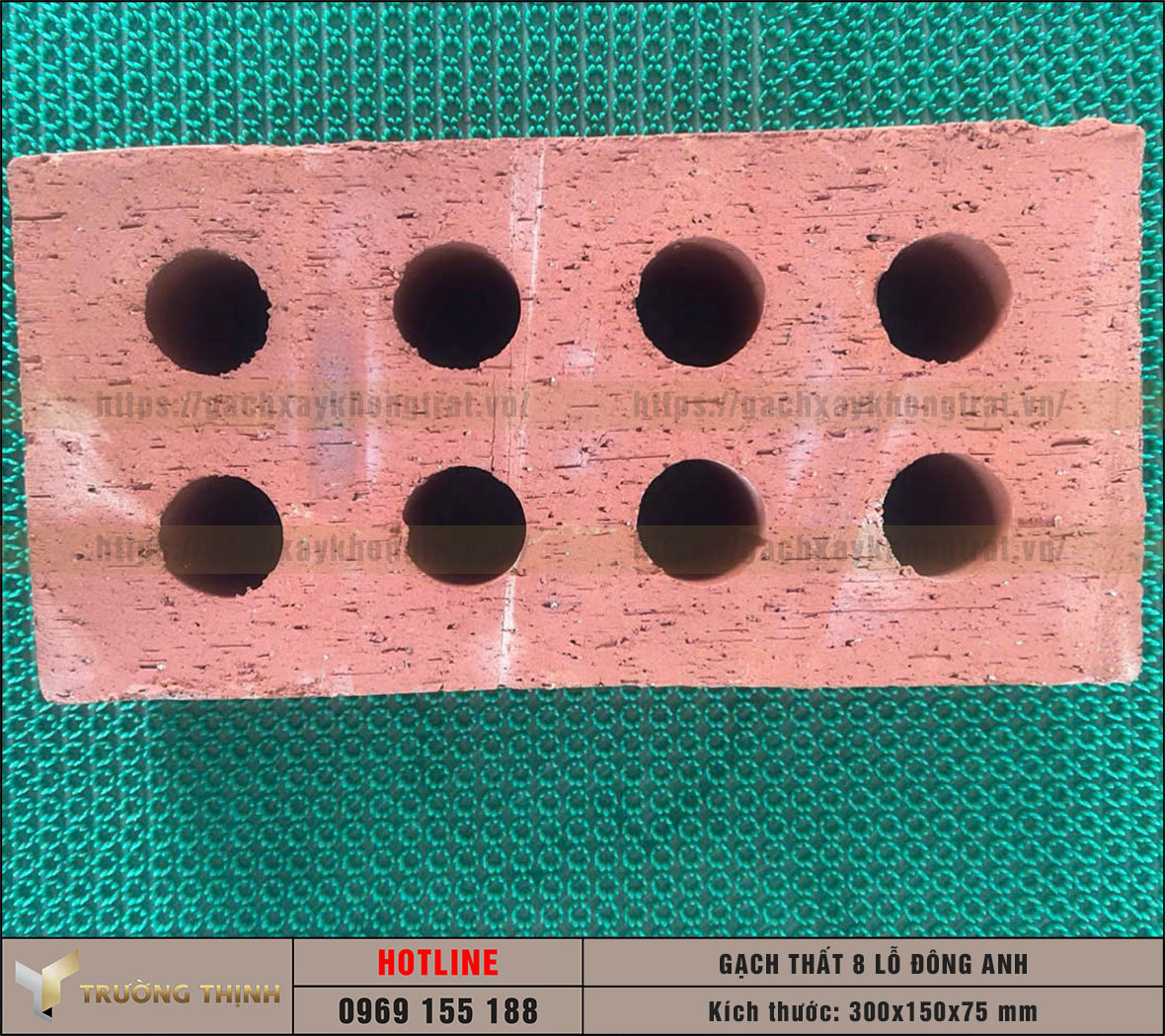 Gạch Thất 8 Lỗ 300x150x75 Đông Anh - Báo Giá, Đặc Điểm & Nơi Mua Uy Tín