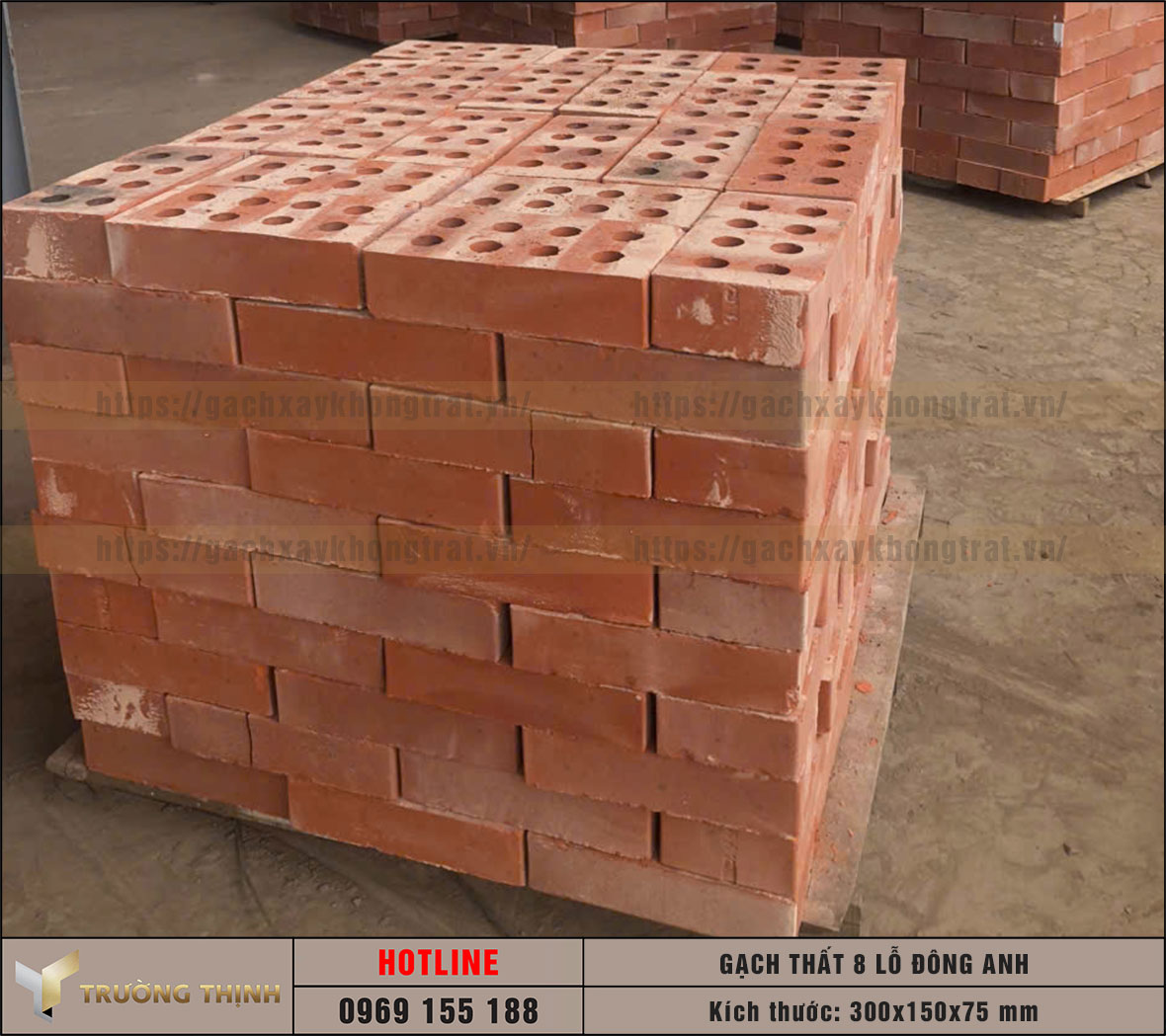 Gạch Thất 8 Lỗ 300x150x75 Đông Anh