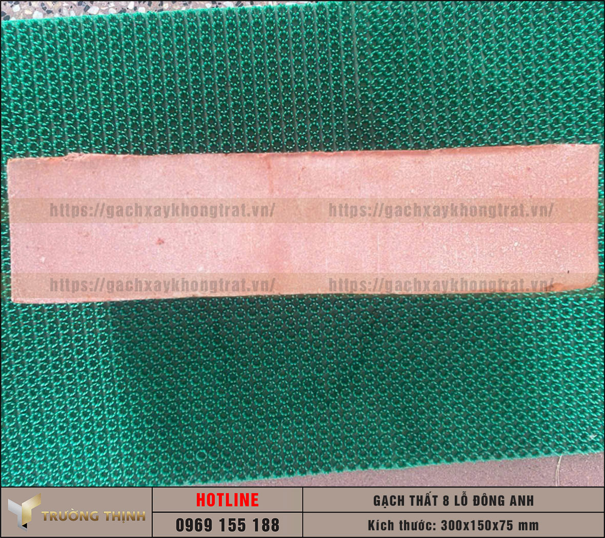 Gạch Thất 8 Lỗ 300x150x75 Đông Anh