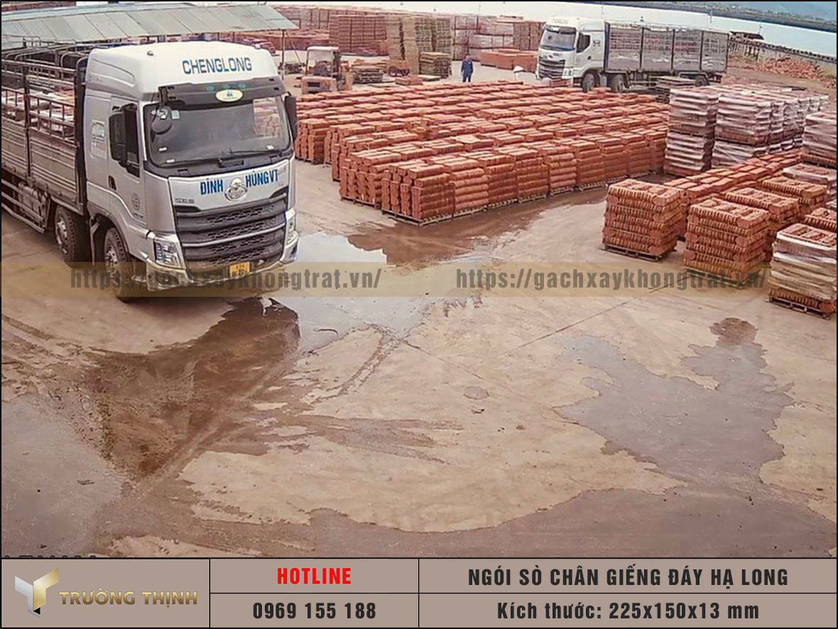 Ngói lợp mái nhà - Ngói sò cổ có chân Giếng Đáy Hạ Long tại nhà máy