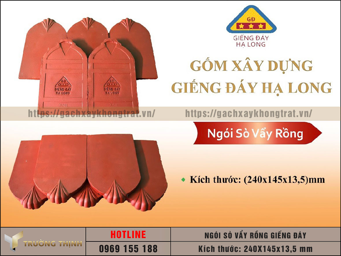 Ngói sò vẩy rồng Giếng Đáy Hạ Long  giá rẻ