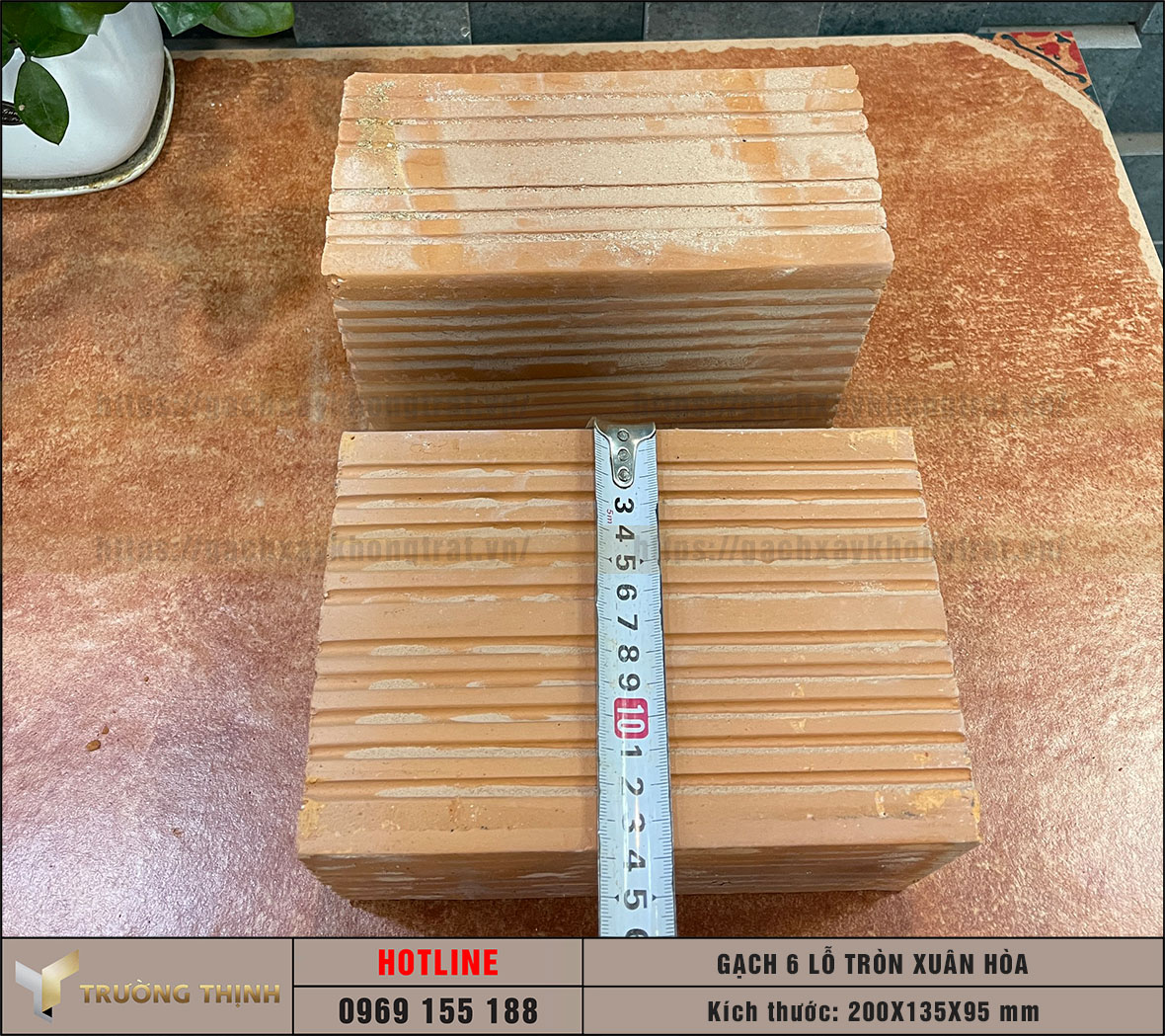 Gạch 6 lỗ tròn chống nóng Viglacera Xuân Hòa