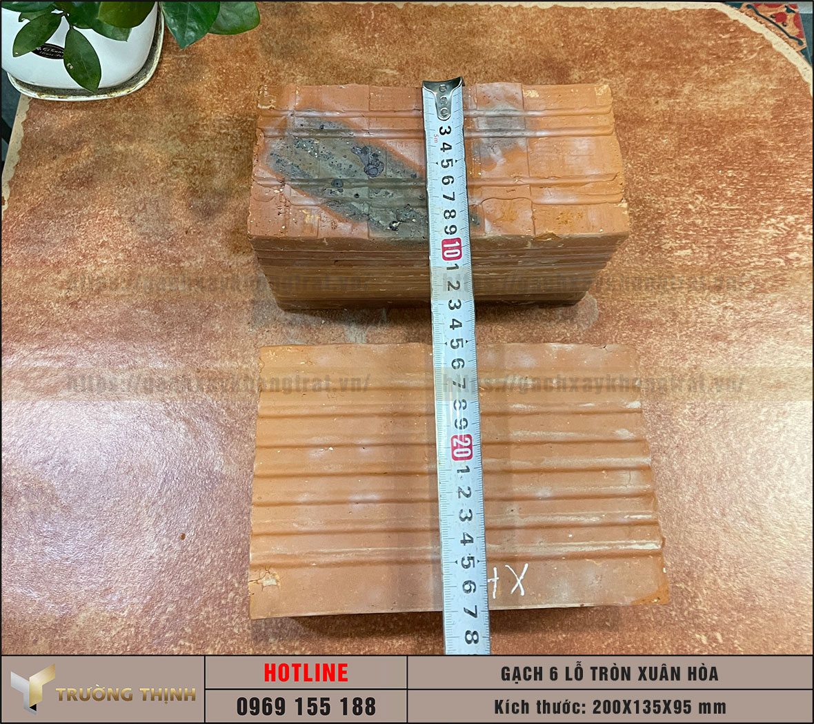 Gạch 6 lỗ tròn chống nóng Viglacera Xuân Hòa