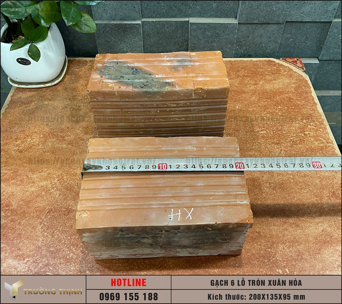 Gạch 6 lỗ tròn chống nóng Viglacera Xuân Hòa