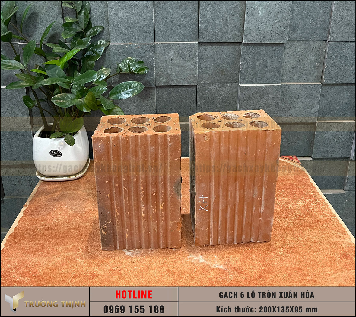 Gạch 6 lỗ tròn chống nóng Viglacera Xuân Hòa
