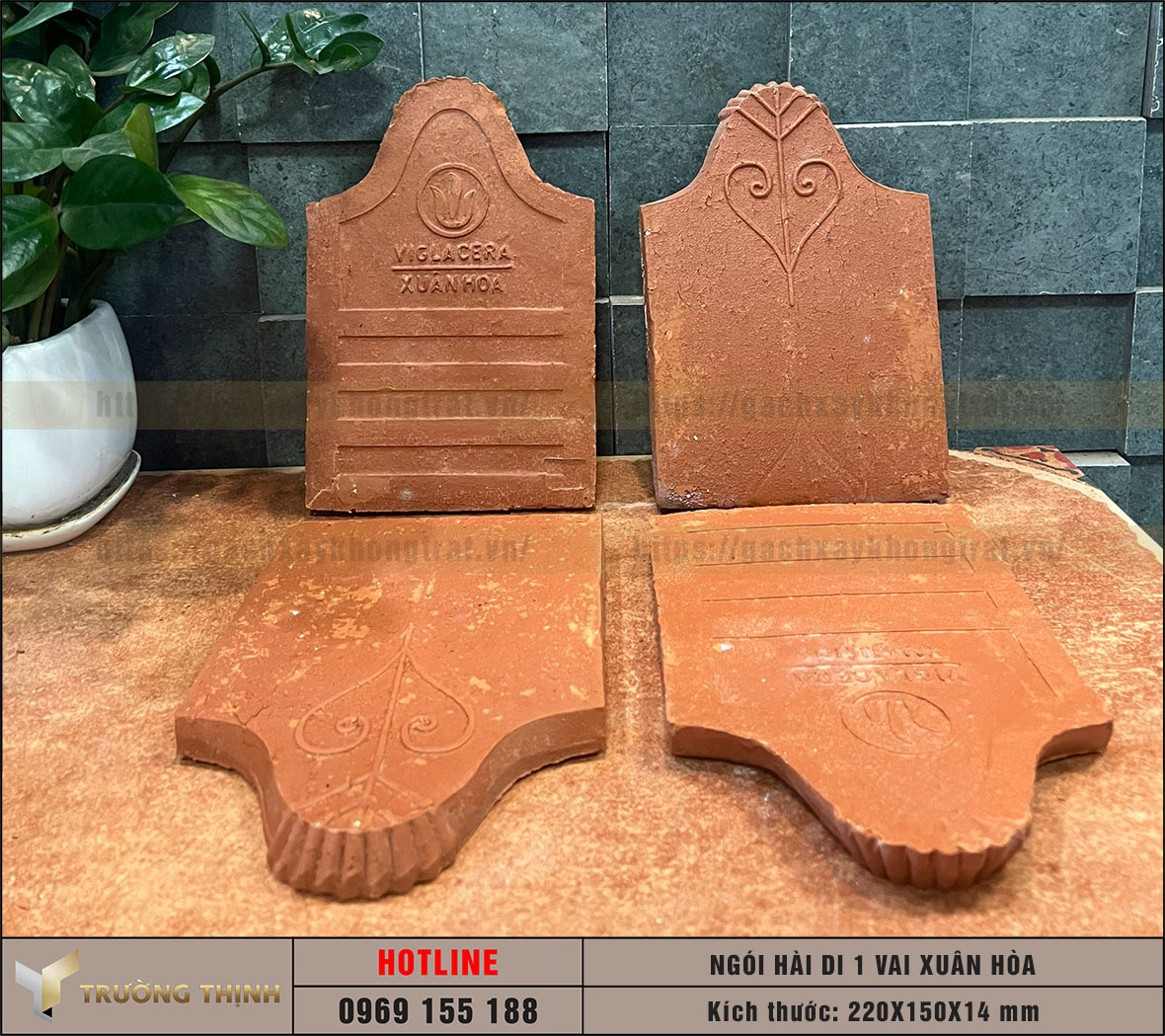 Ngói lợp mái nhà - Ngói hài di 1 vai Viglacera Xuân Hòa