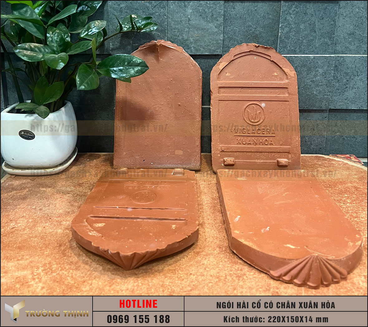 Ngói lợp mái nhà - Ngói sò cổ Viglacera Xuân Hòa