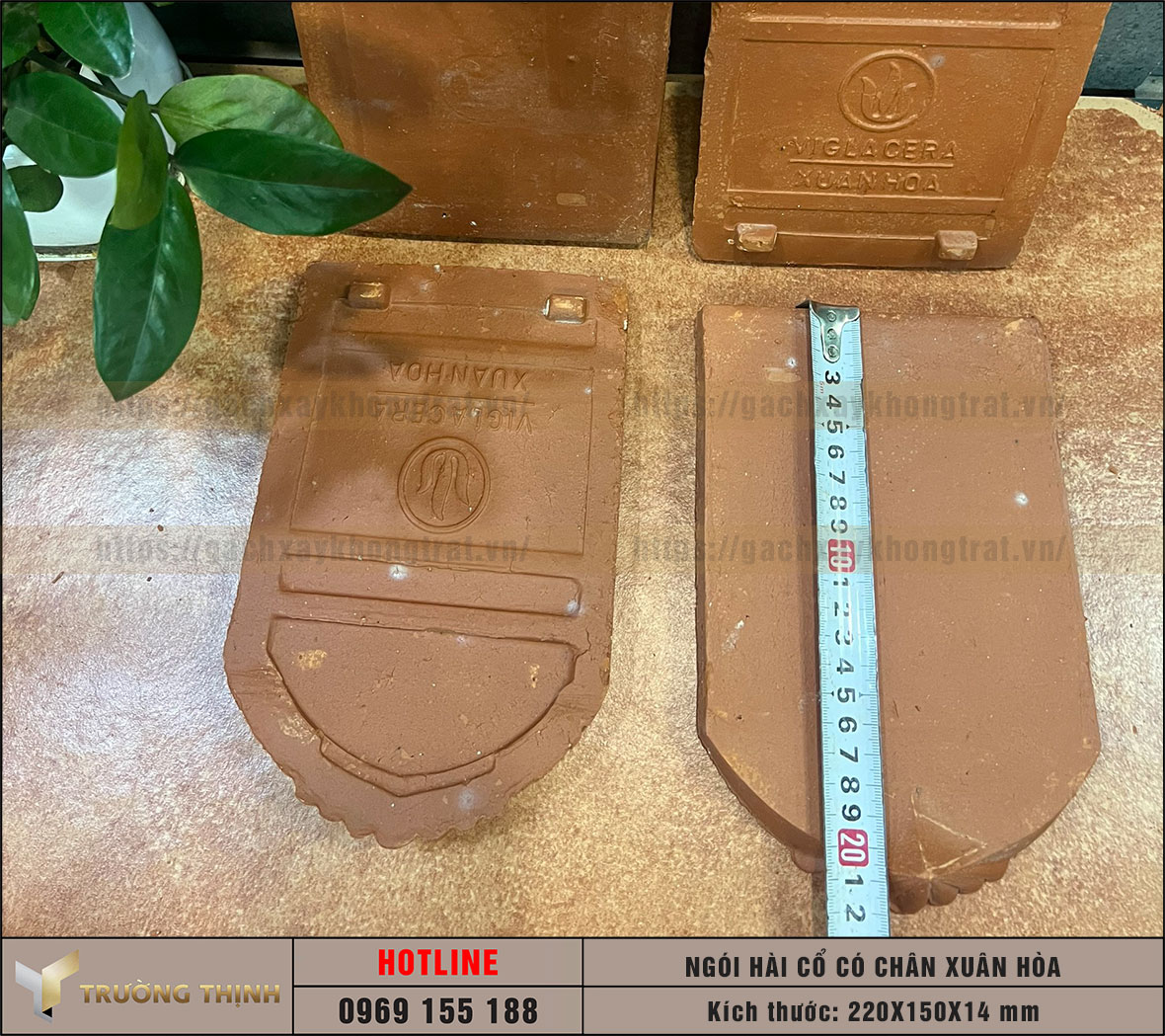 Ngói lợp mái nhà - Ngói sò cổ Viglacera Xuân Hòa