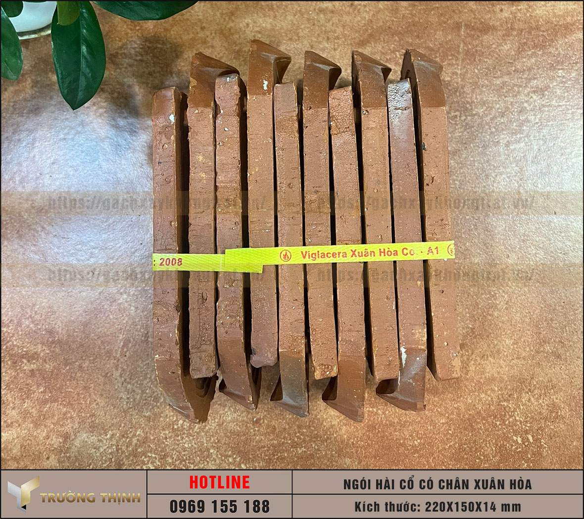 Ngói lợp mái nhà - Ngói sò cổ Viglacera Xuân Hòa
