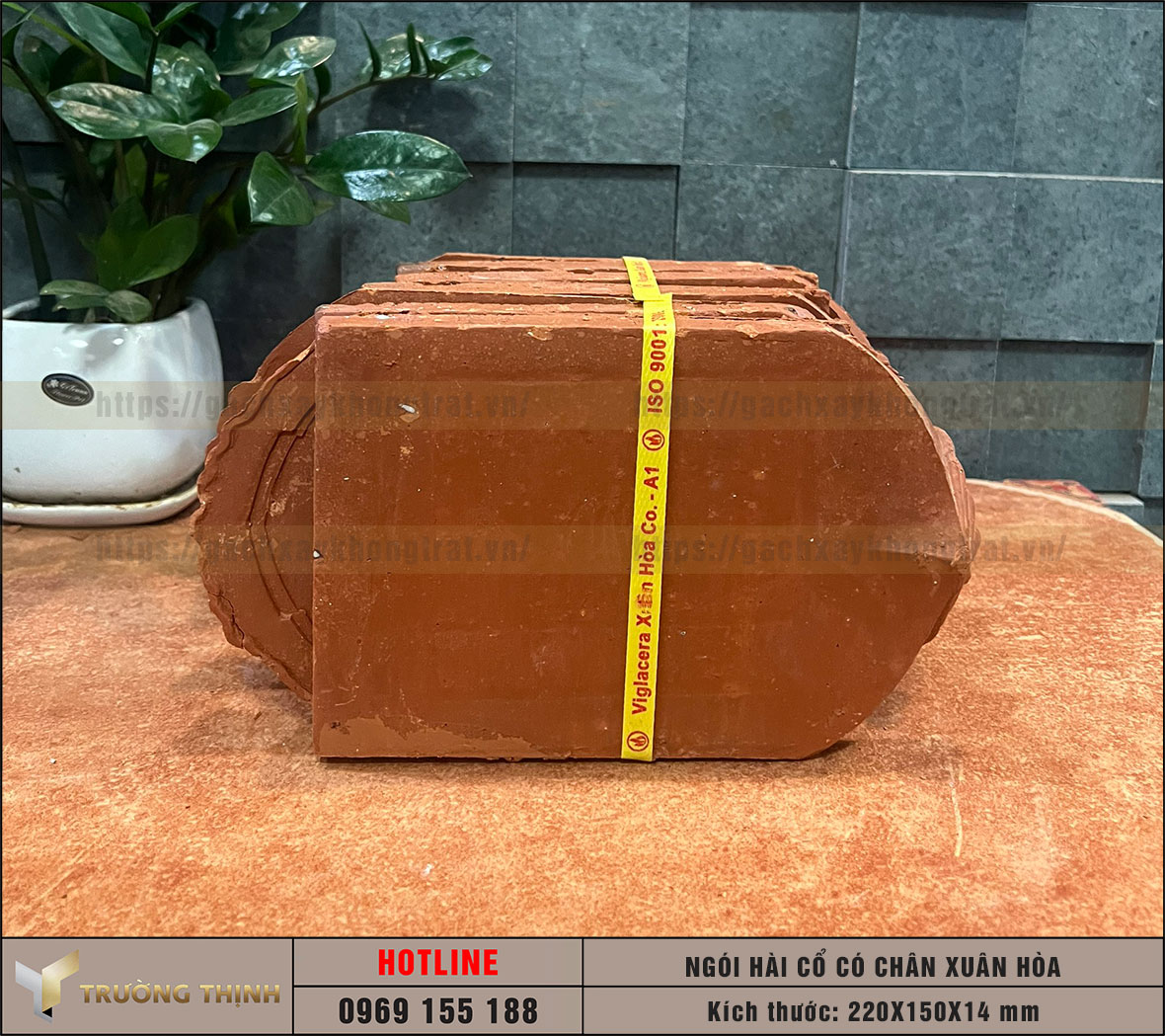 Ngói lợp mái nhà - Ngói sò cổ Viglacera Xuân Hòa