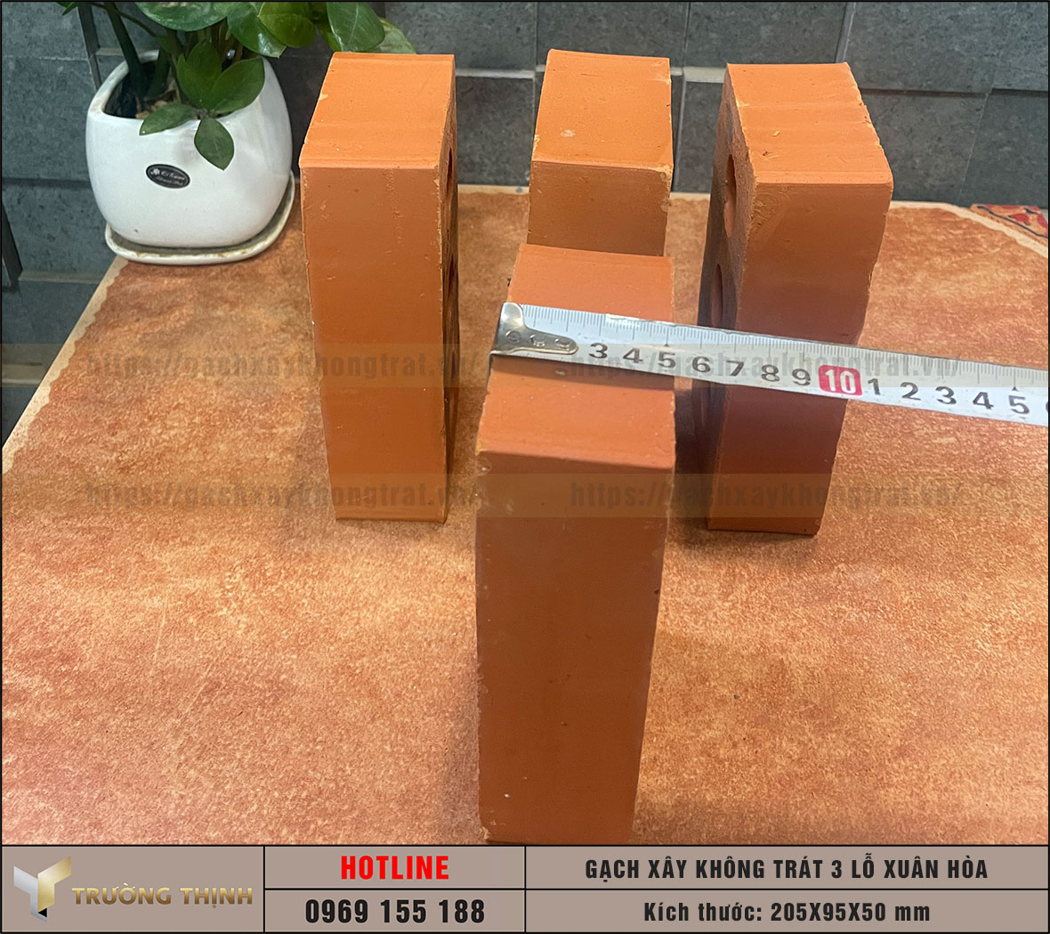 Gạch 3 lỗ xây không trát Xuân Hòa Hà Nội