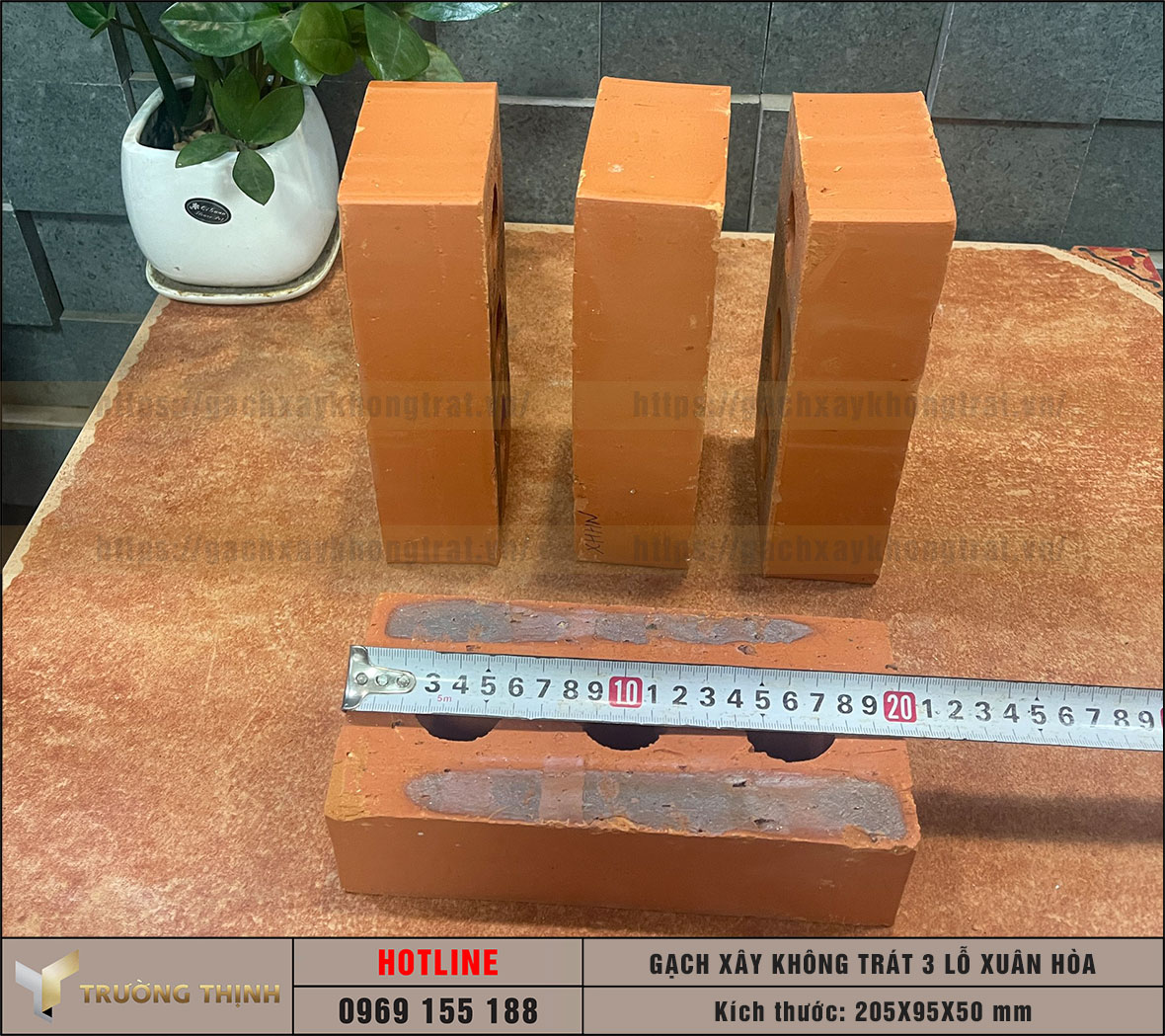 Gạch 3 lỗ xây không trát Xuân Hòa Hà Nội
