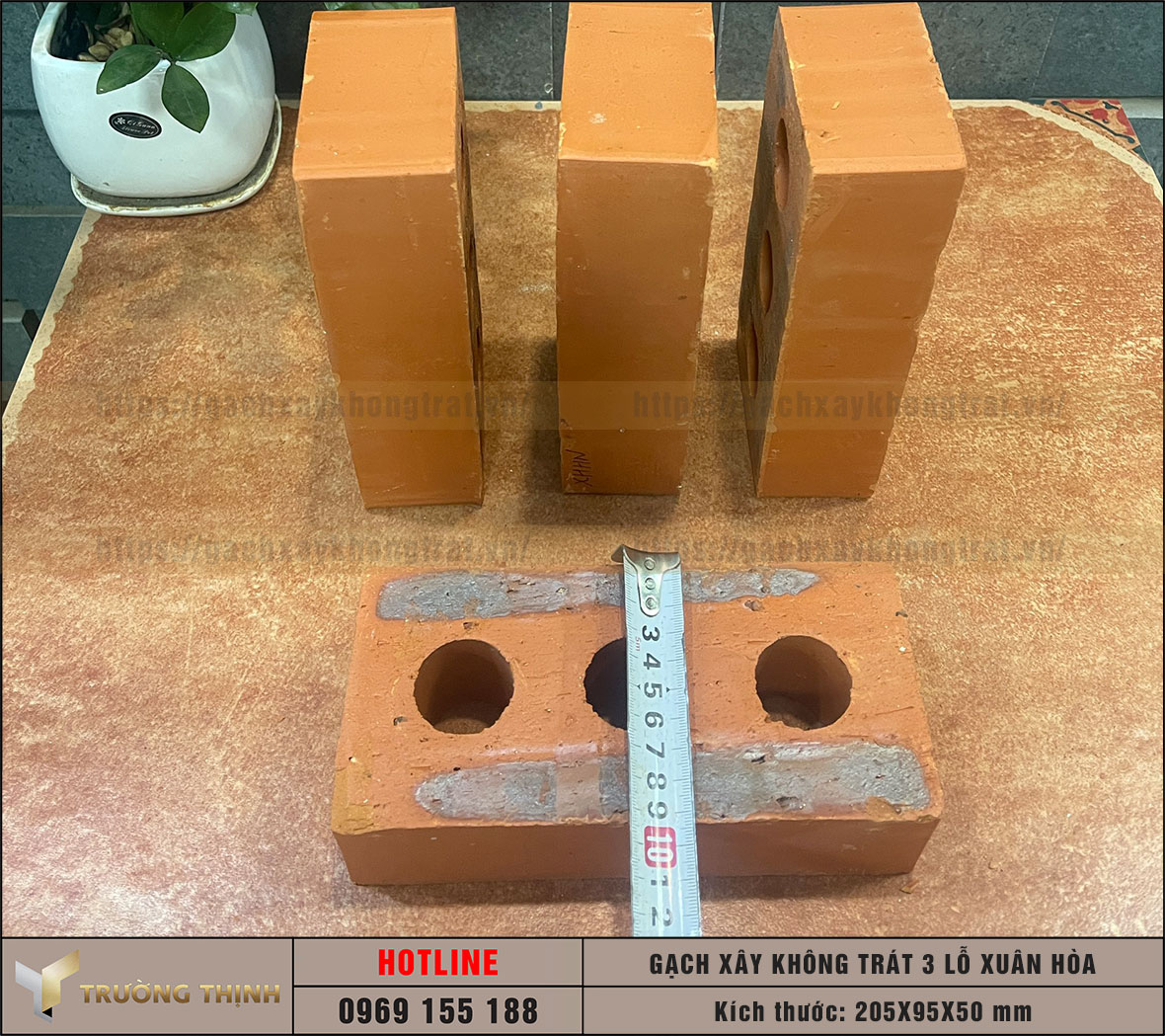 Gạch 3 lỗ xây không trát Xuân Hòa Hà Nội