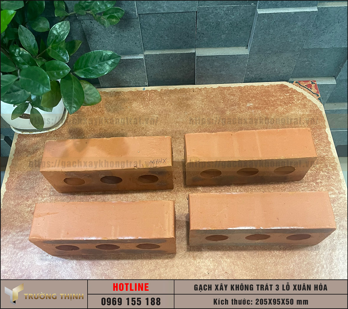 Gạch 3 lỗ xây không trát Xuân Hòa Hà Nội